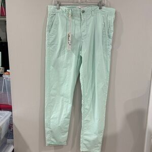 NWT Denim & Flower Mint Green Men's Chinos pants coastal preppy